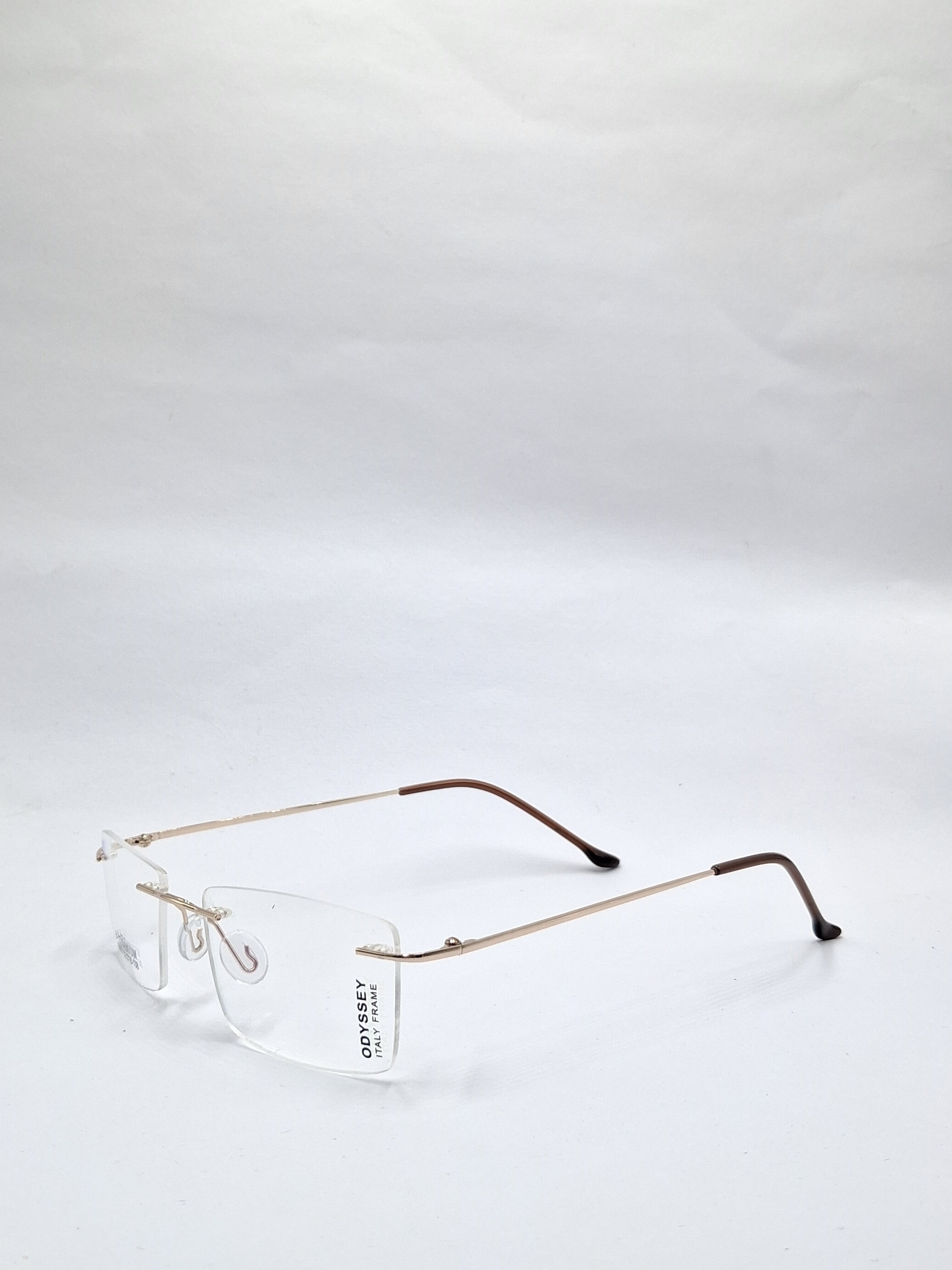 vision plus gold and brown frame less frame
