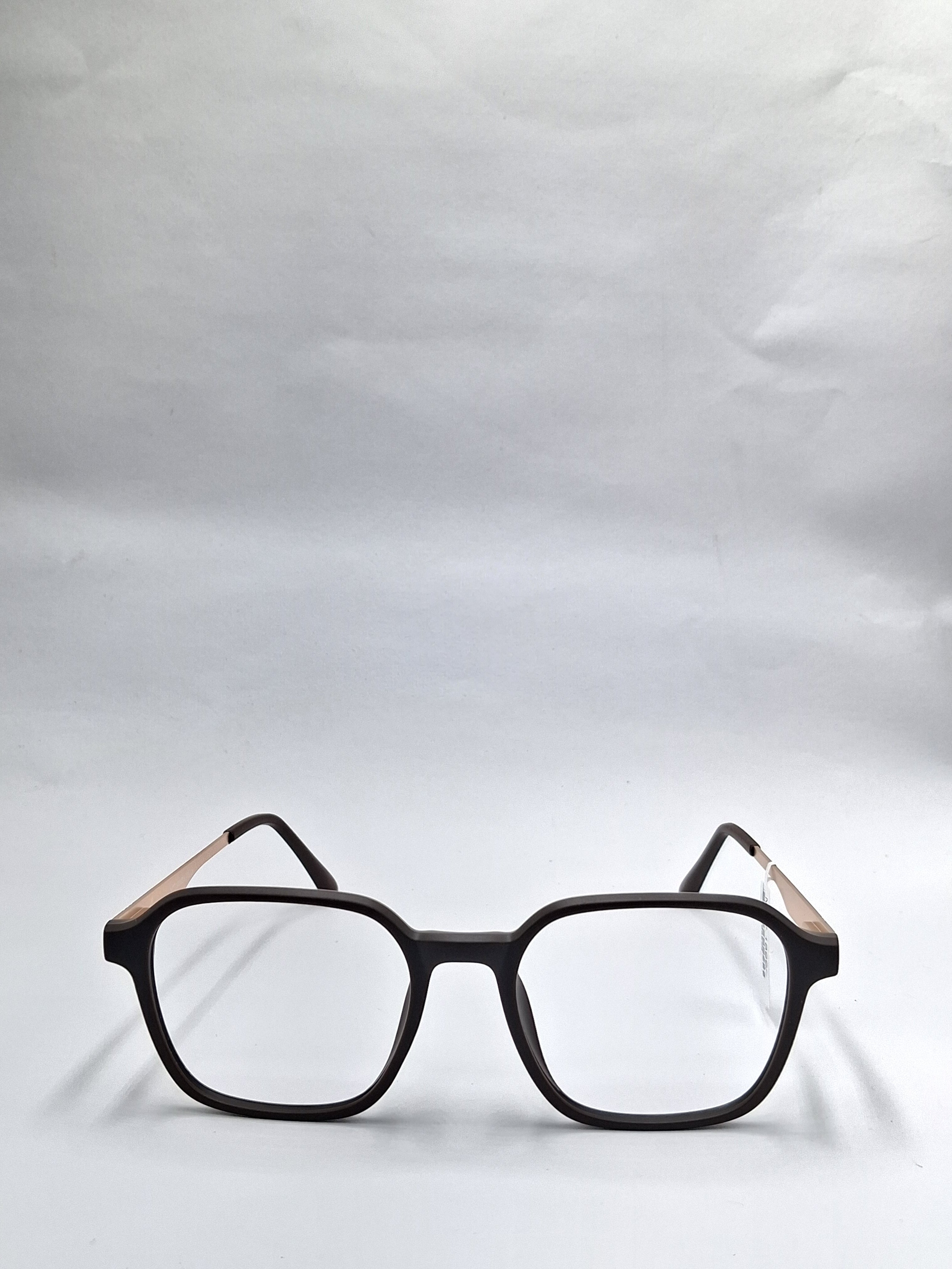 vision plus matte brown and gold matte frame