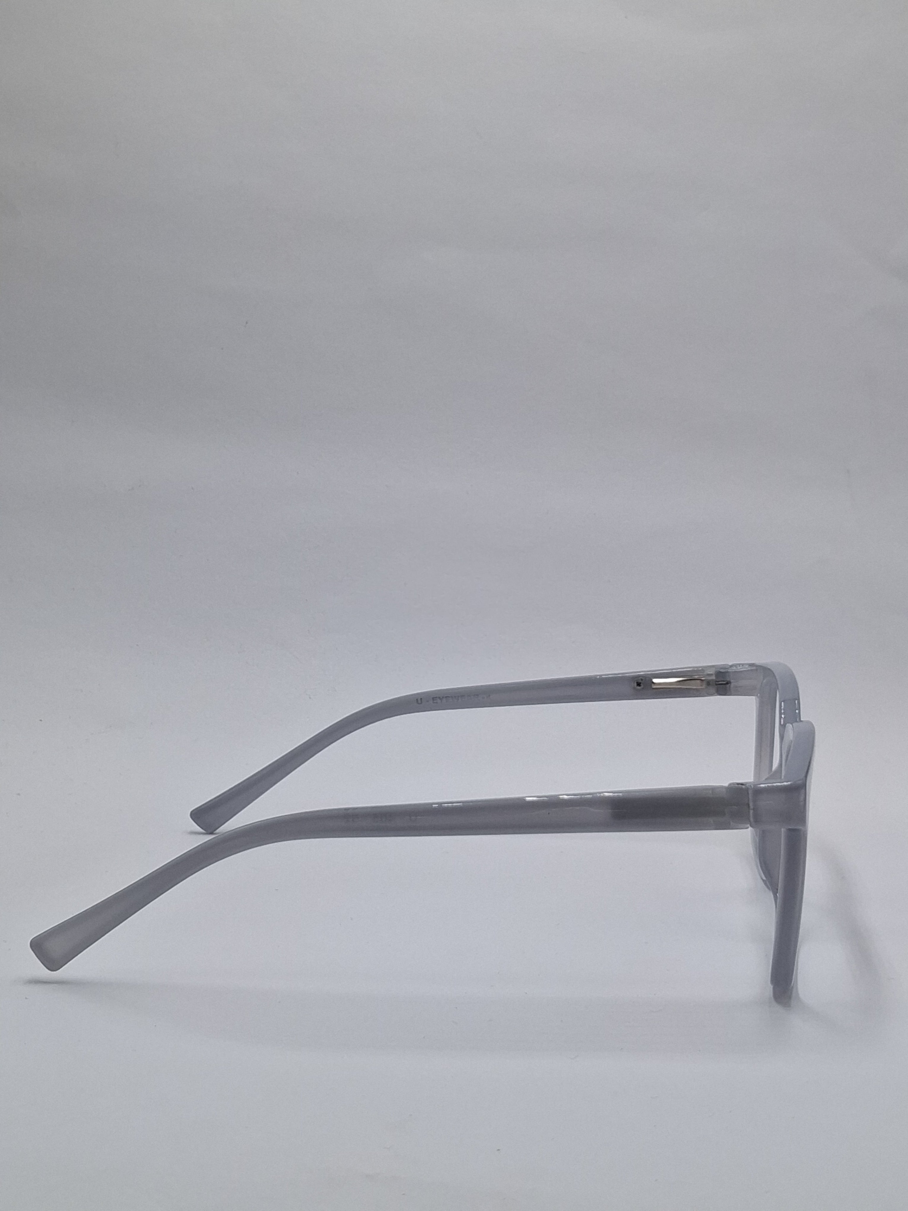 vision plus crystal gray frame