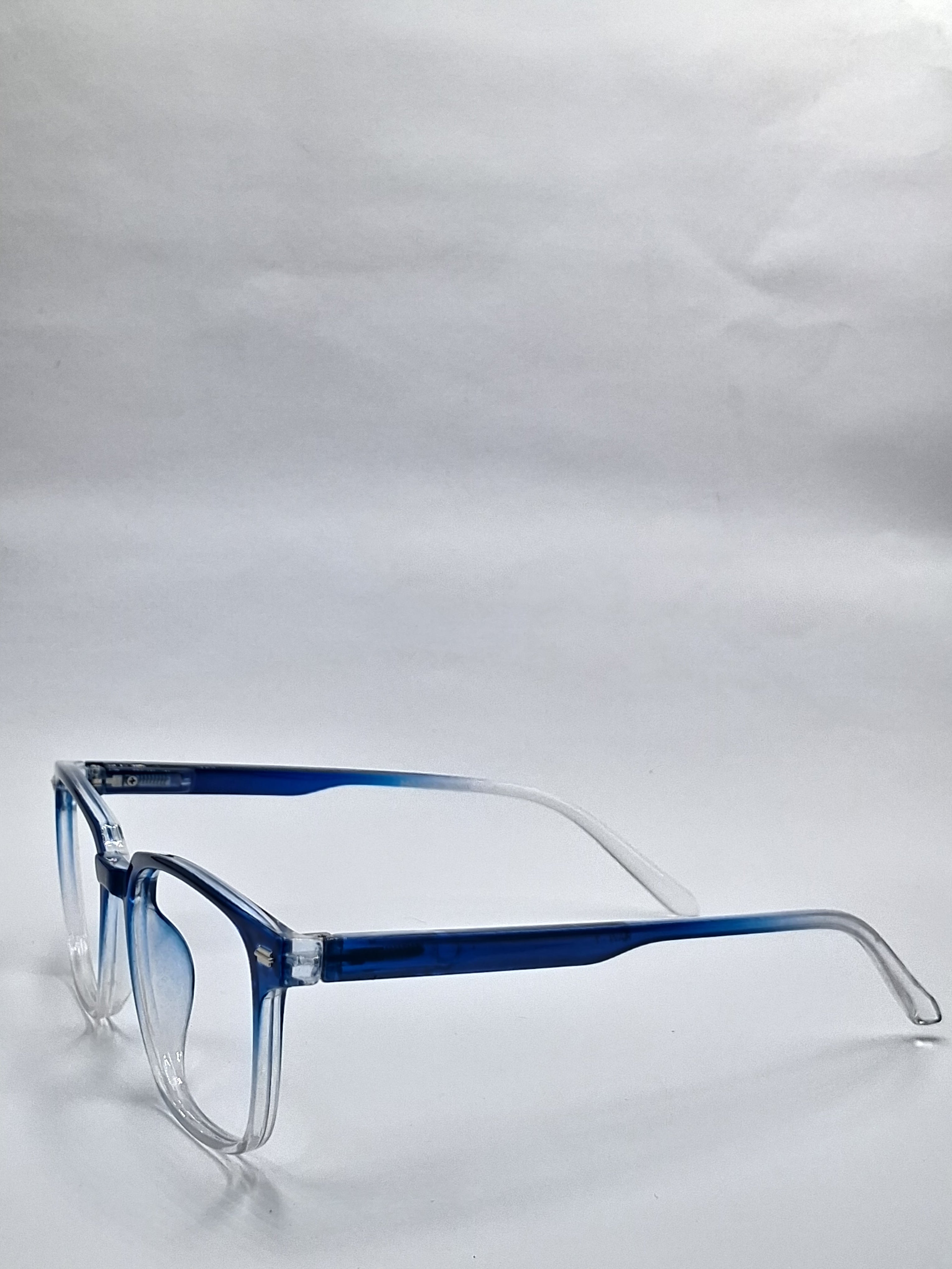 vision plus dual tone blue frame