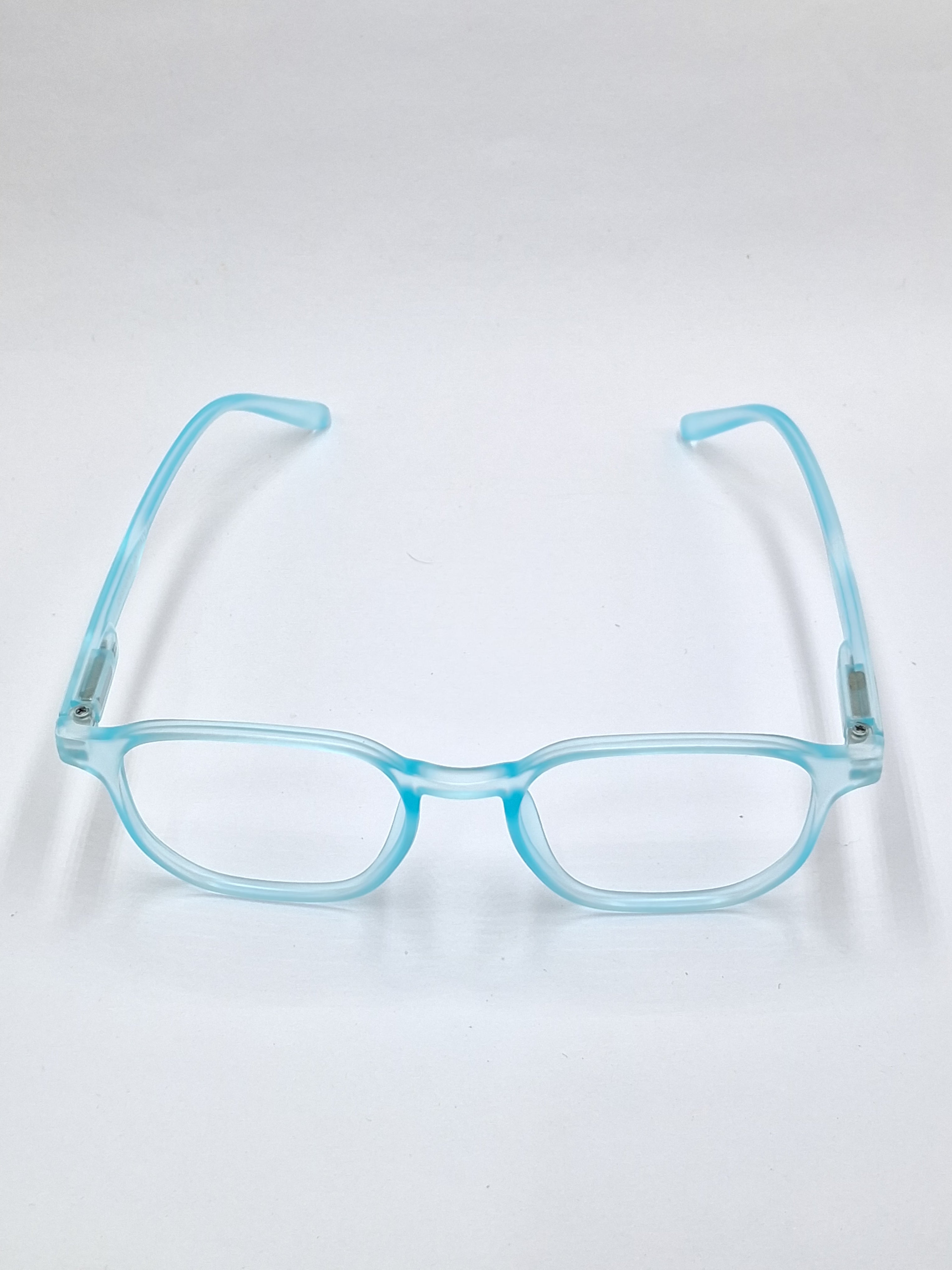 vision plus matte sky blue frame