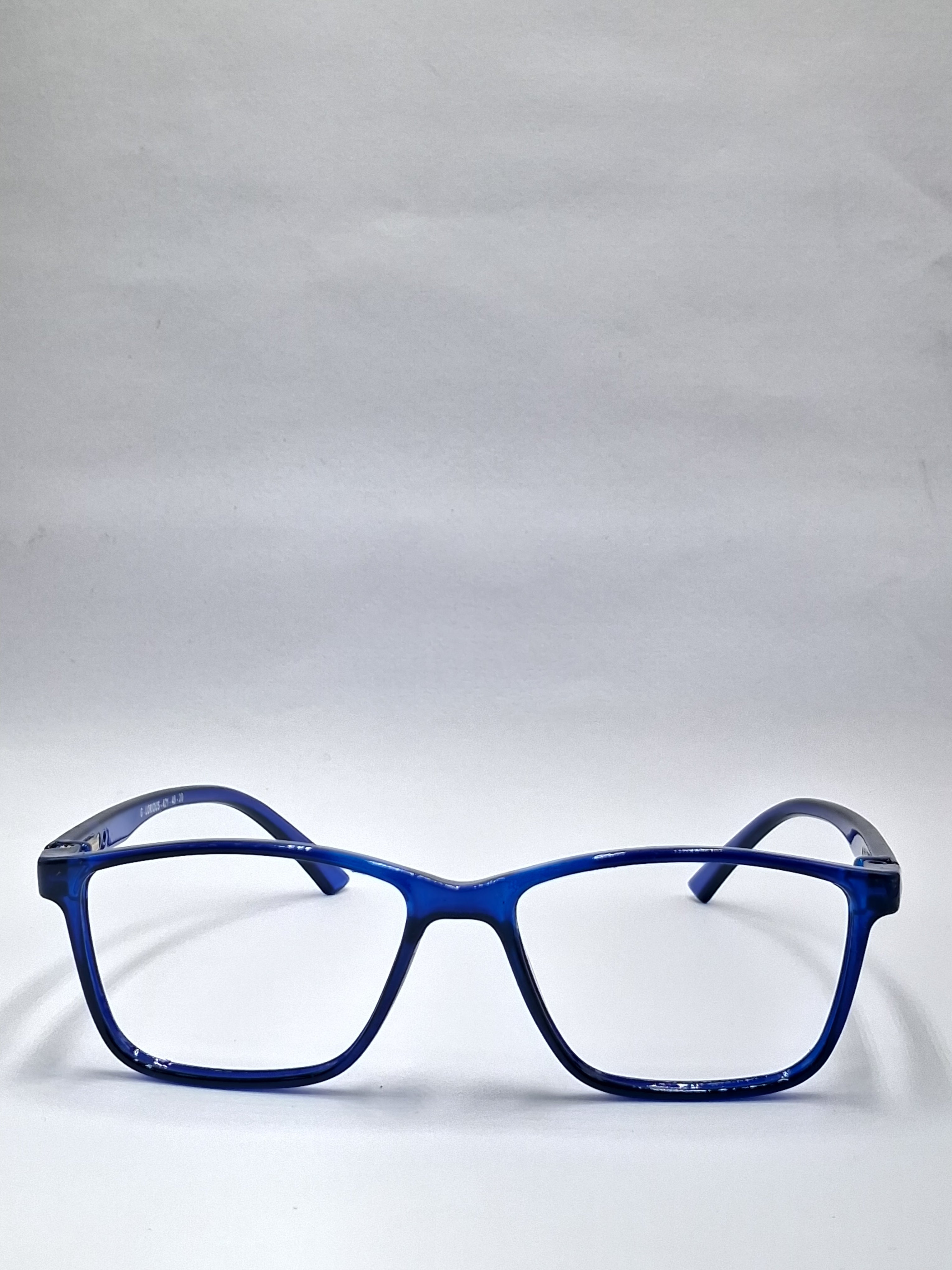 vision plus blue frame