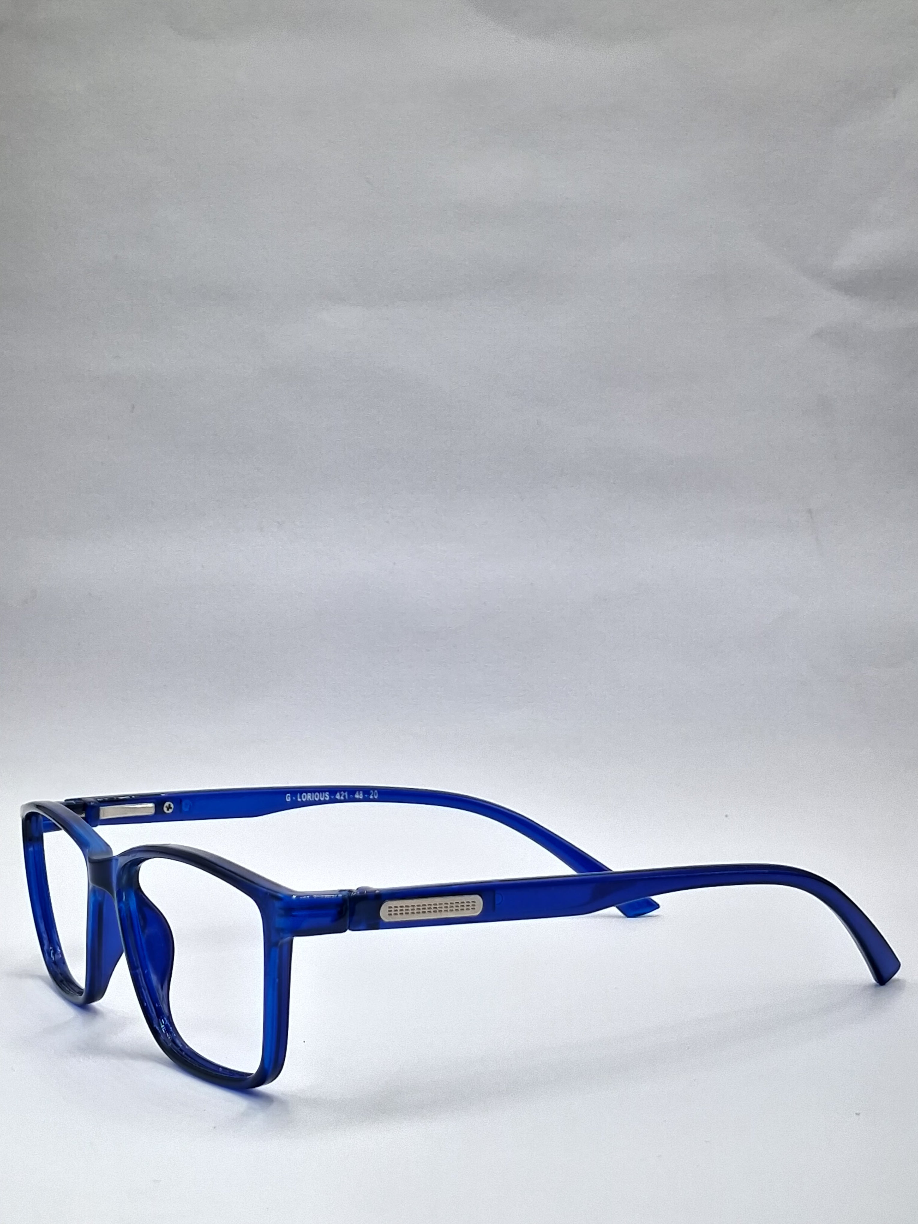 vision plus blue frame