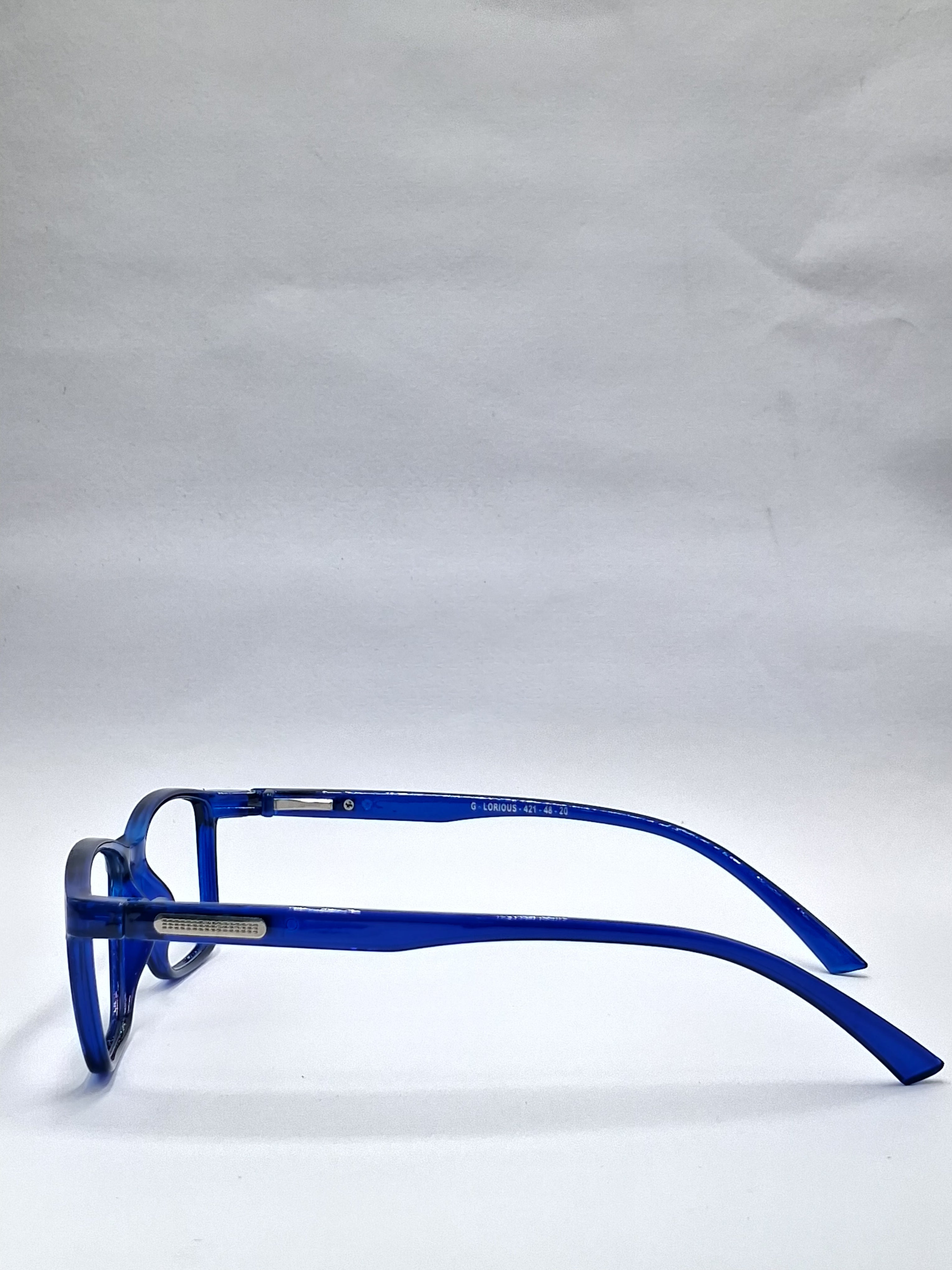 vision plus blue frame