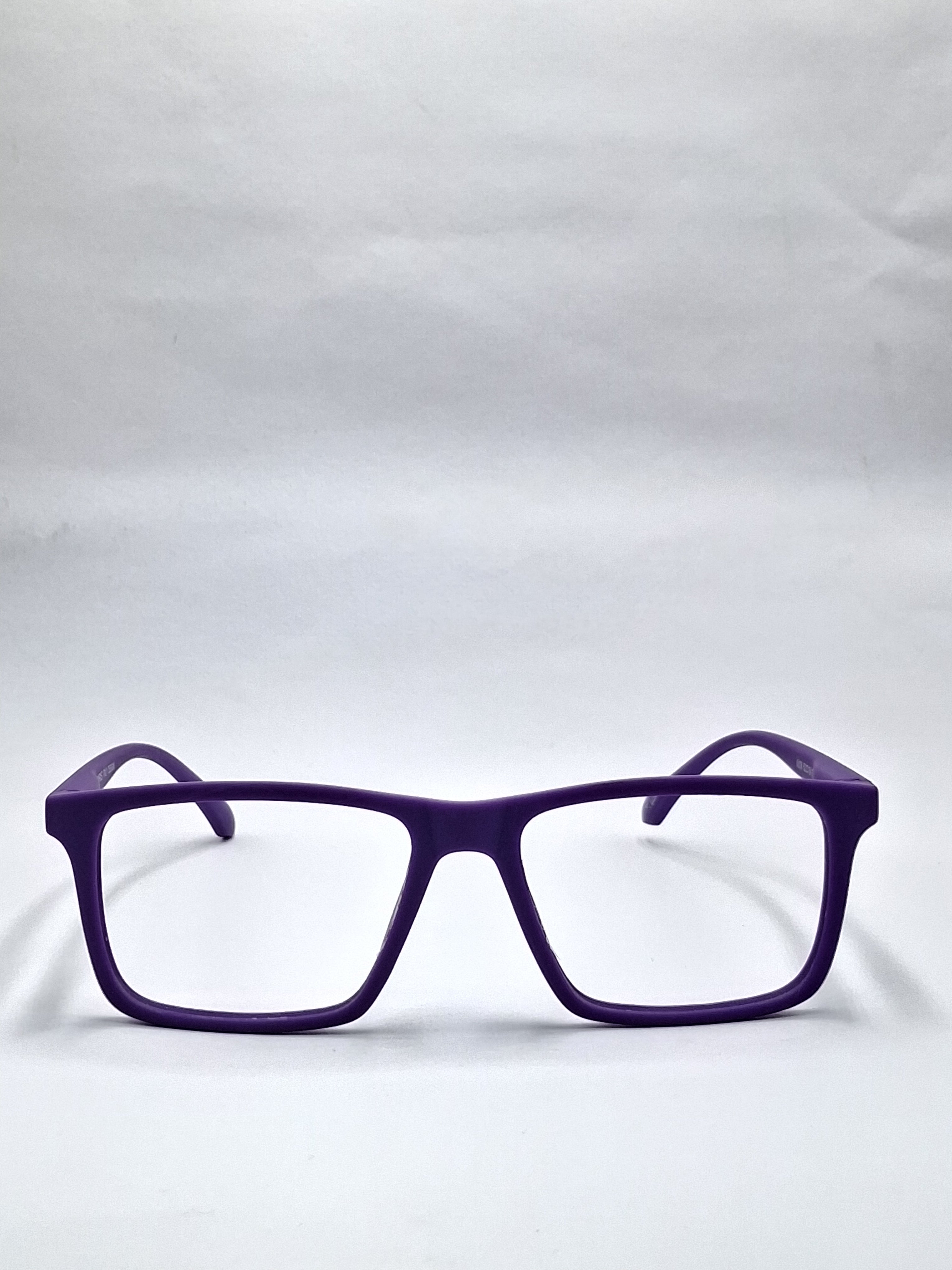vision plus matte purple frame