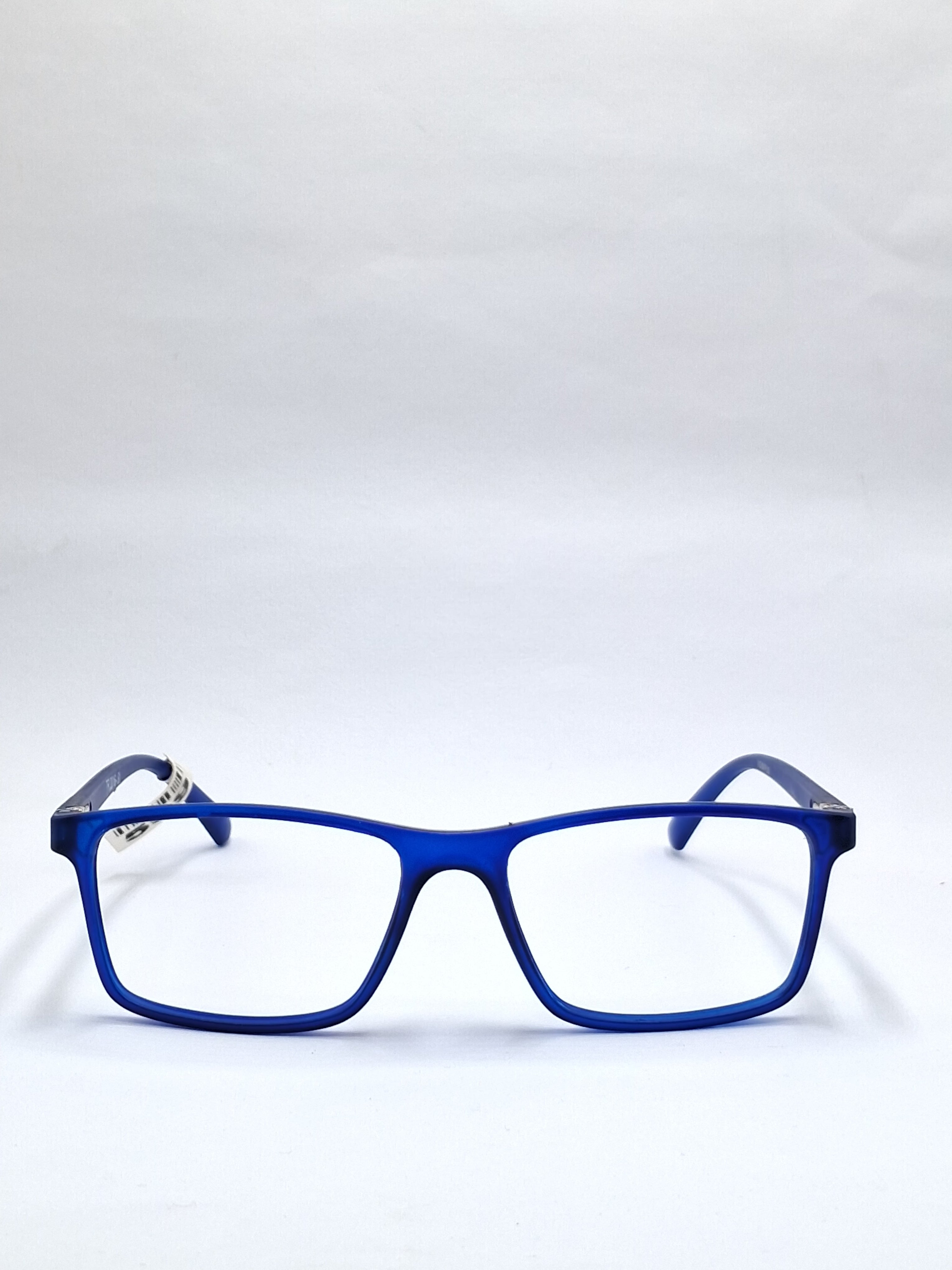 vision plus matte blue frame