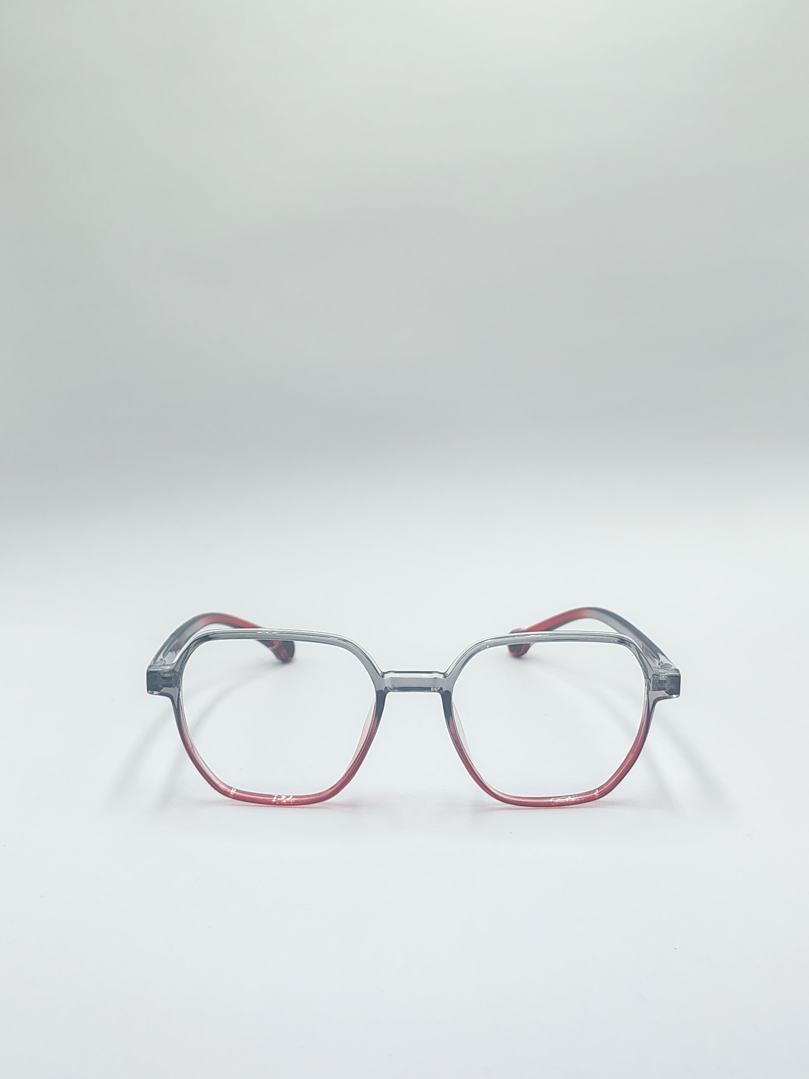 vision plus dual shade silver and red frame