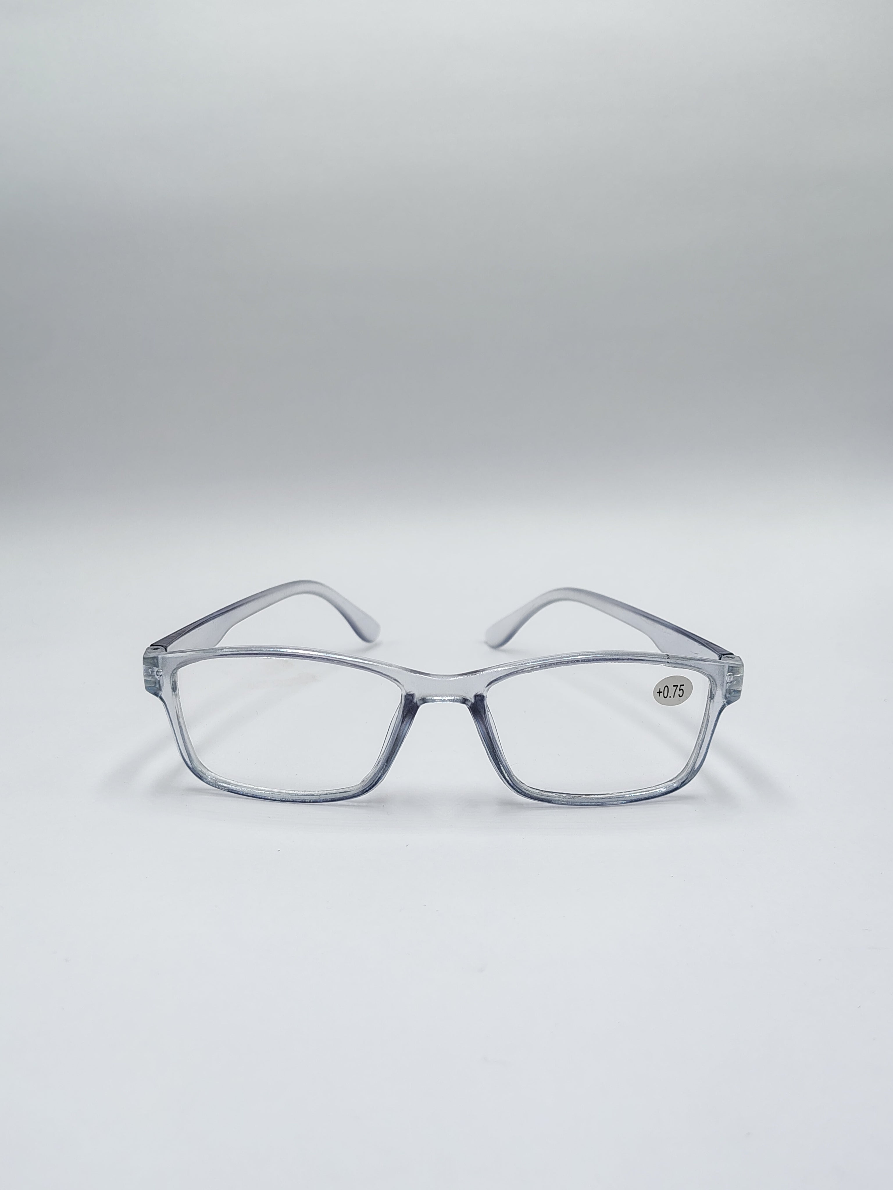 vision plus reading matte silver frame +0.75