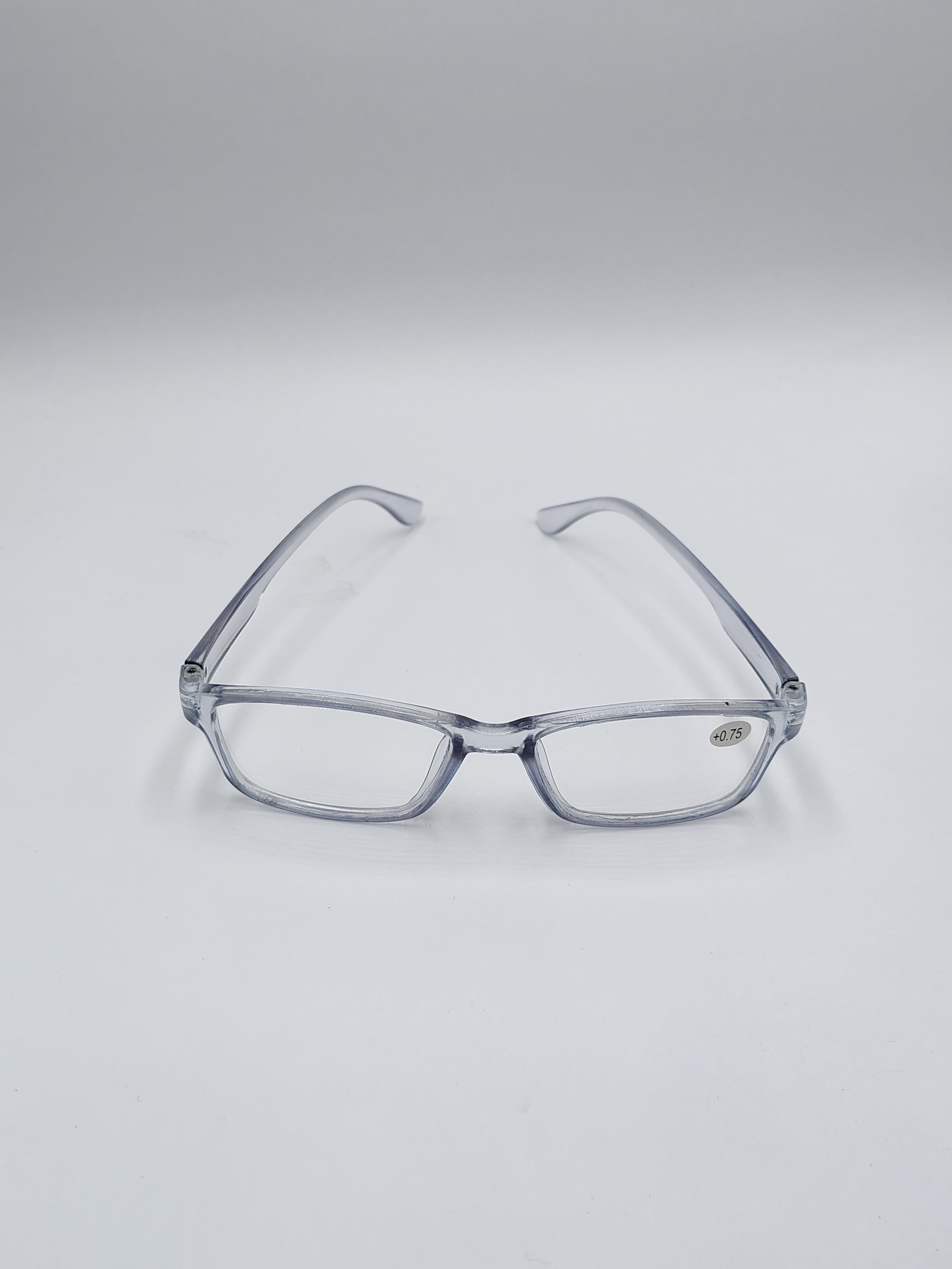 vision plus reading matte silver frame +0.75