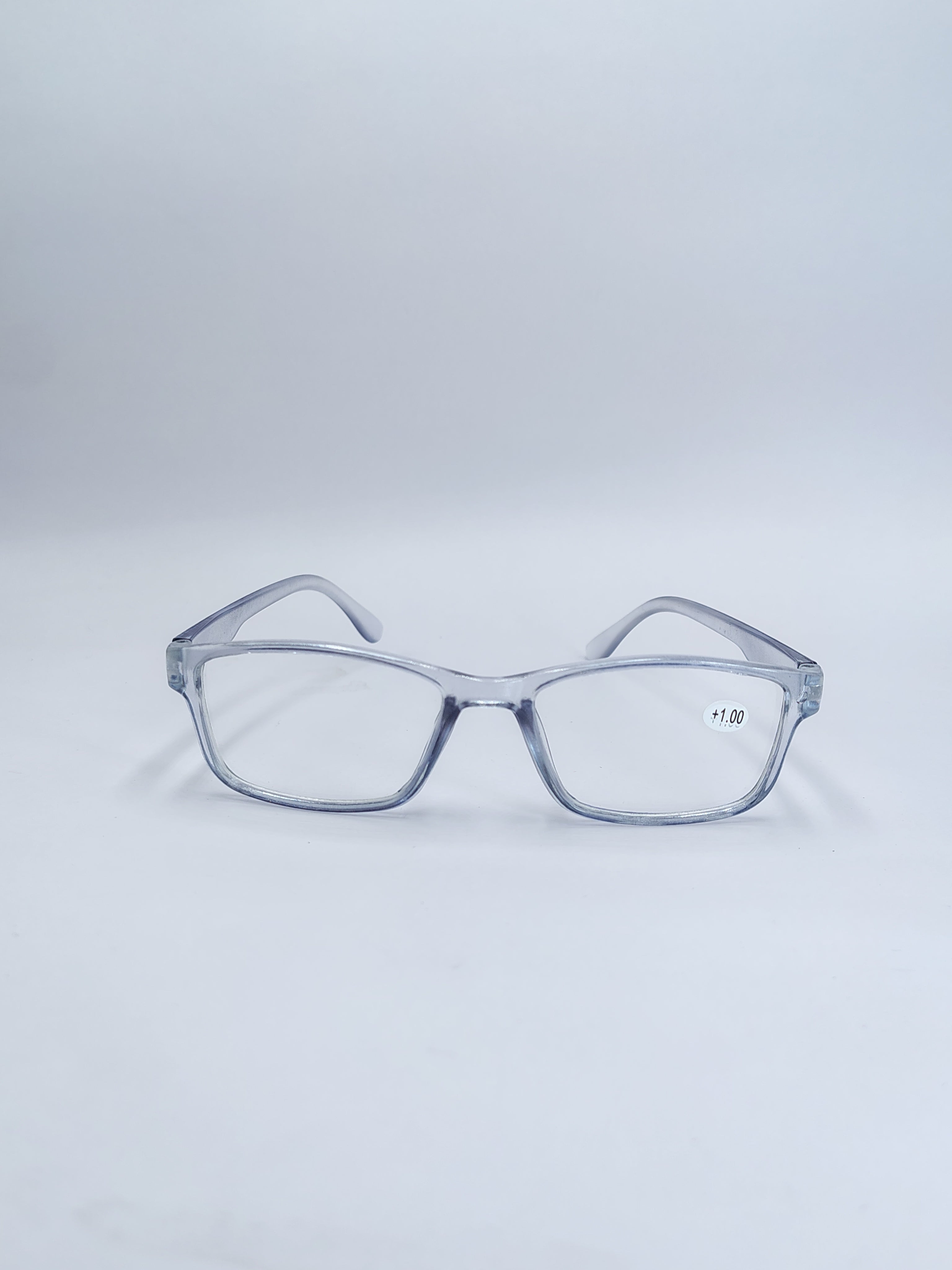 vision plus reading matte silver frame +1.00