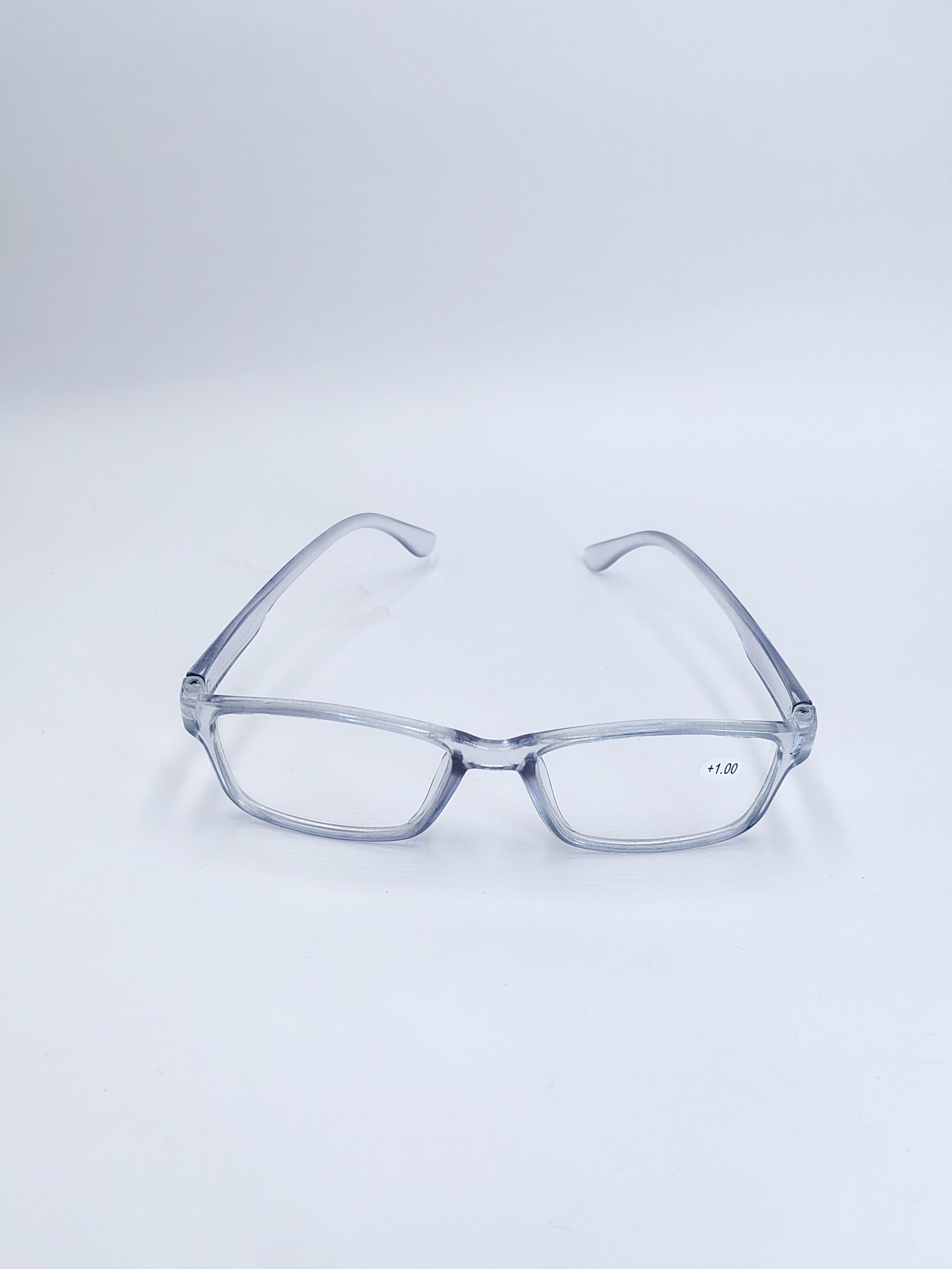 vision plus reading matte silver frame +1.00