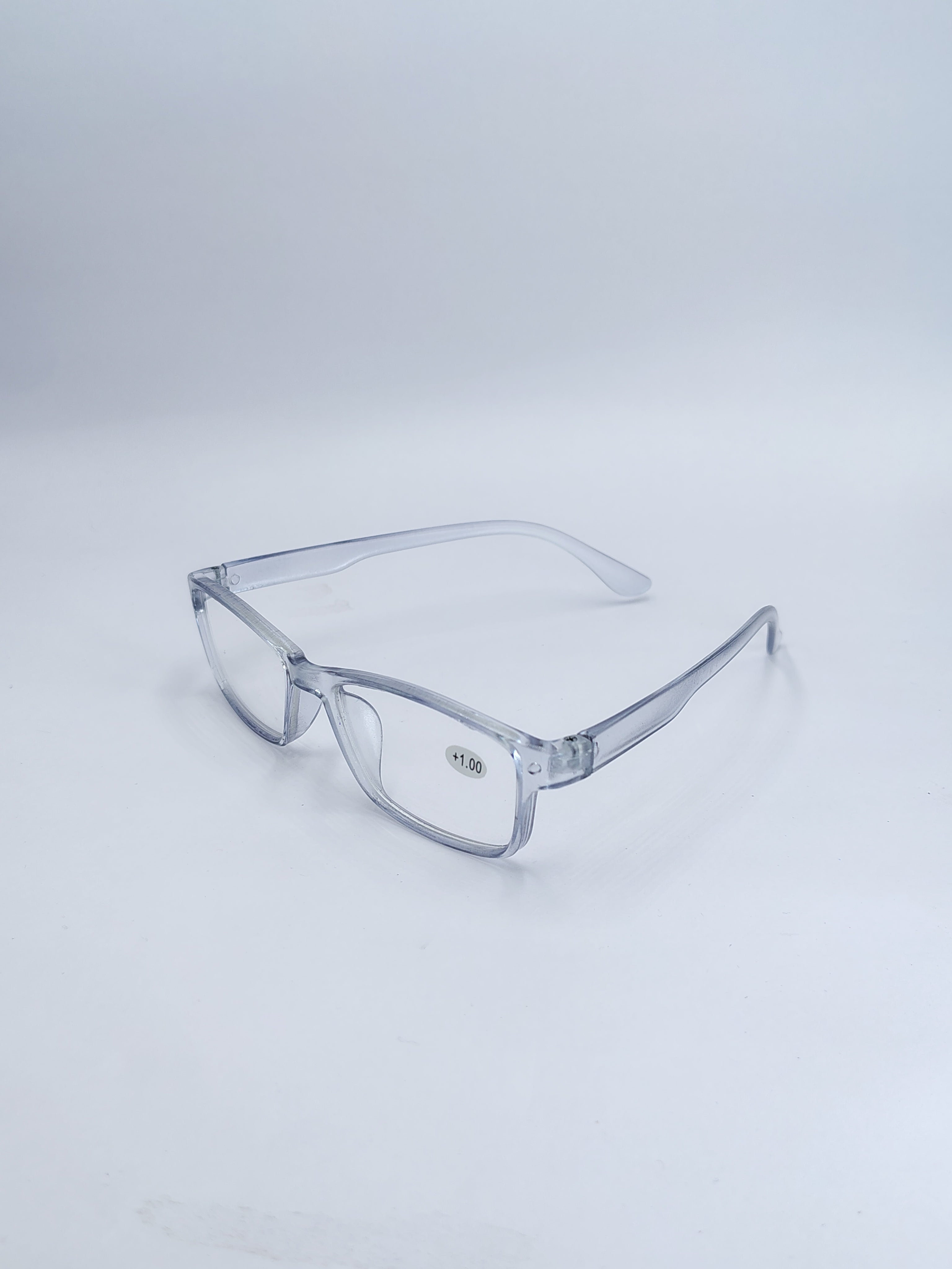 vision plus reading matte silver frame +1.00