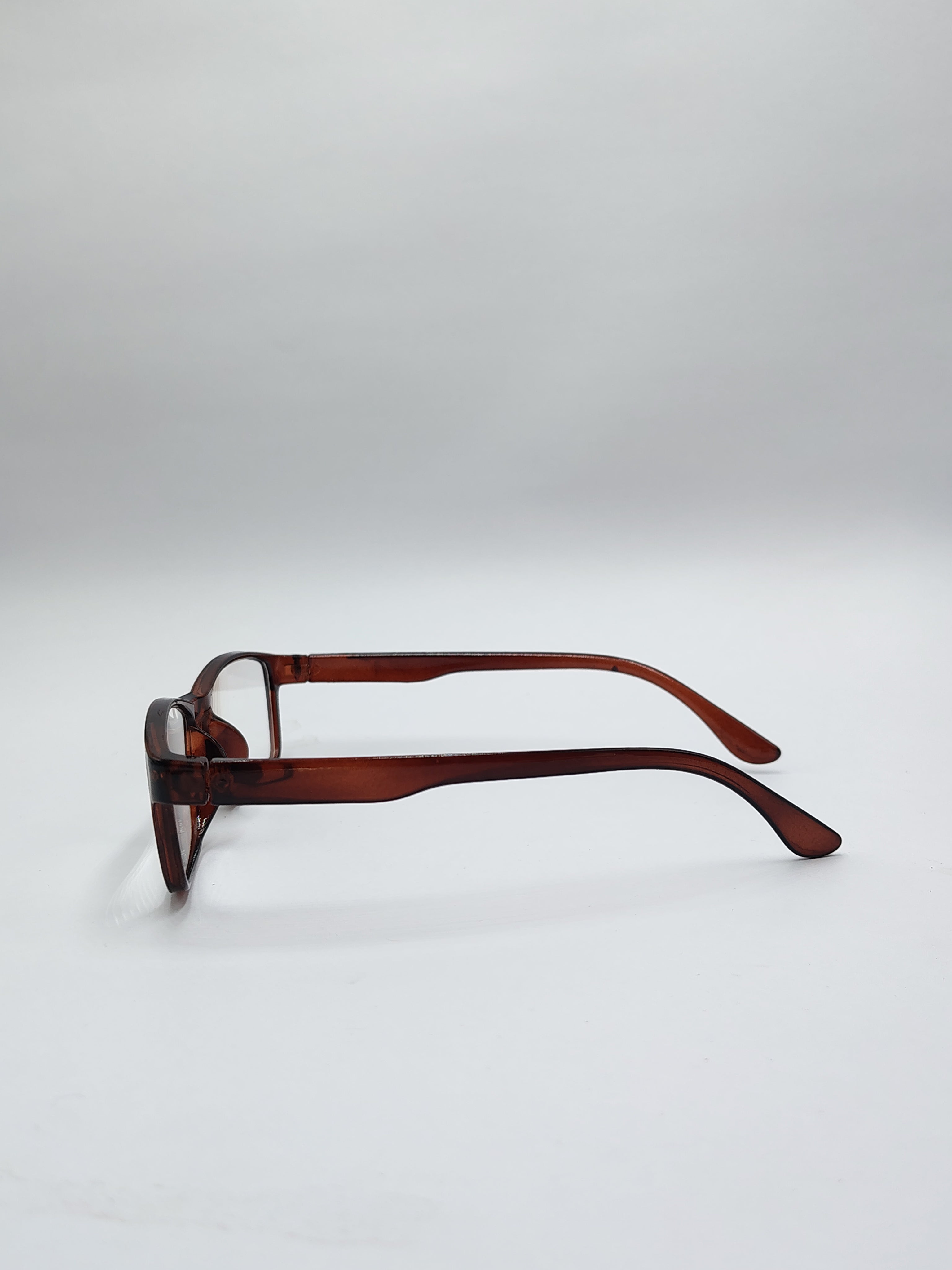 vision plus reading brown frame +2.25