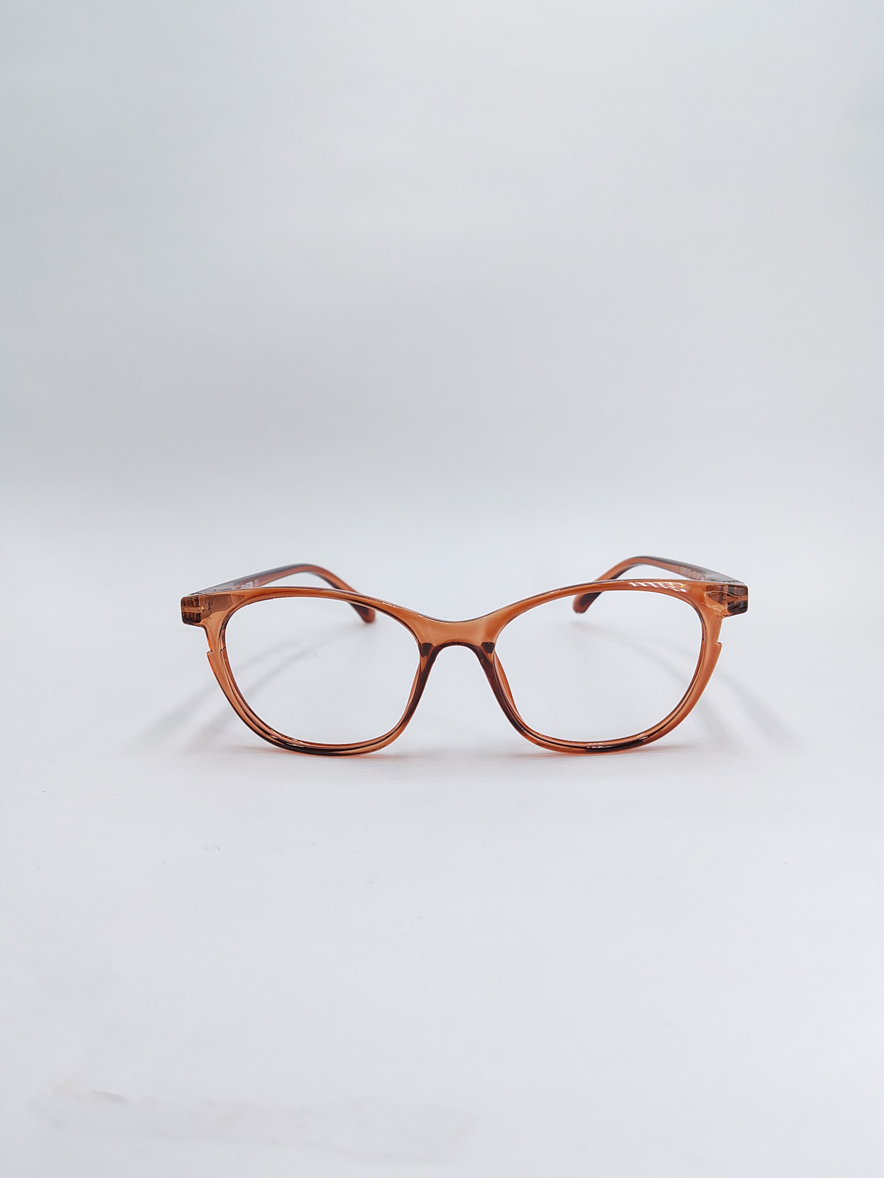 vision plus glossy brown frame