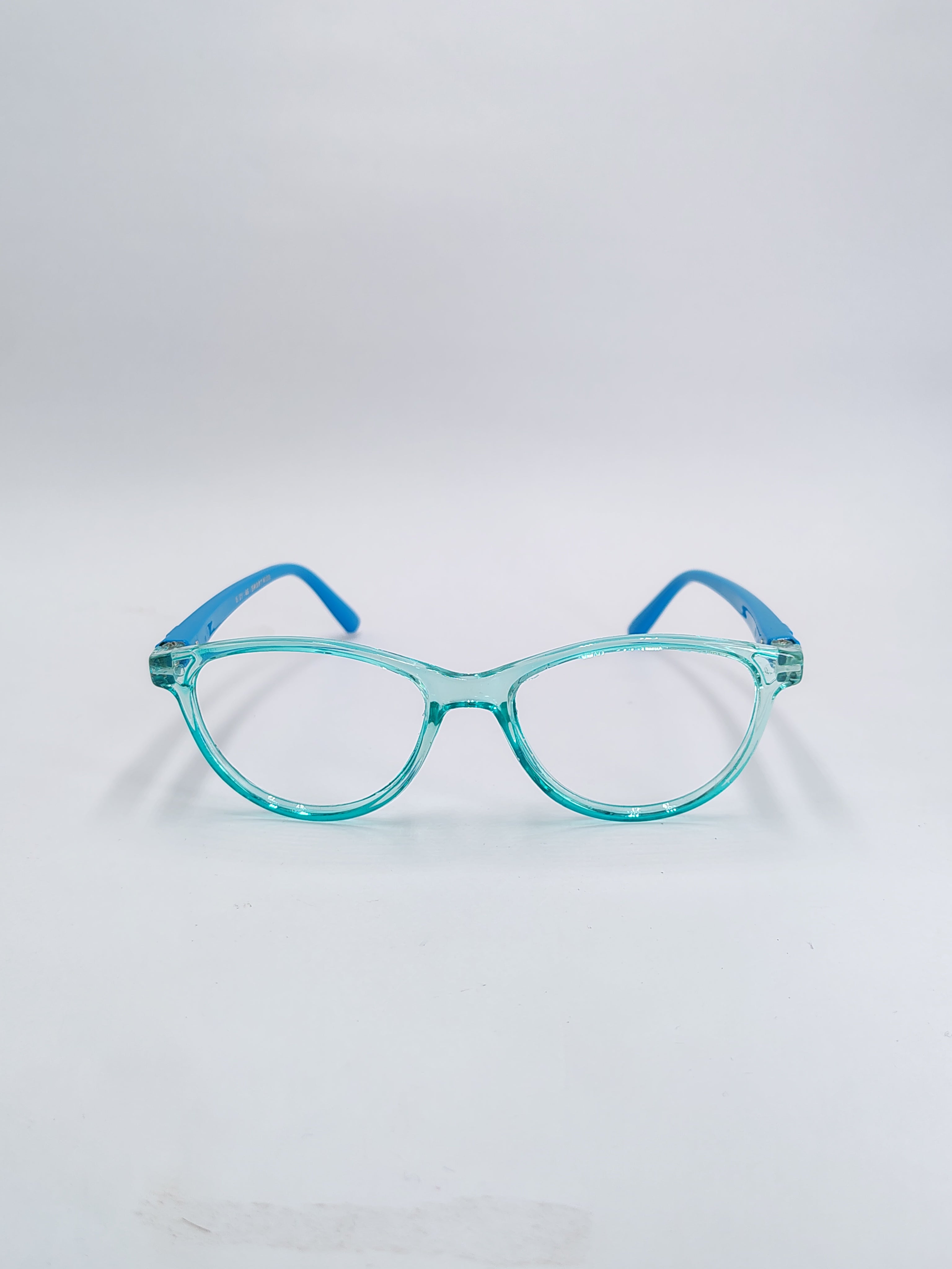 vision plus glossy dual blue frame