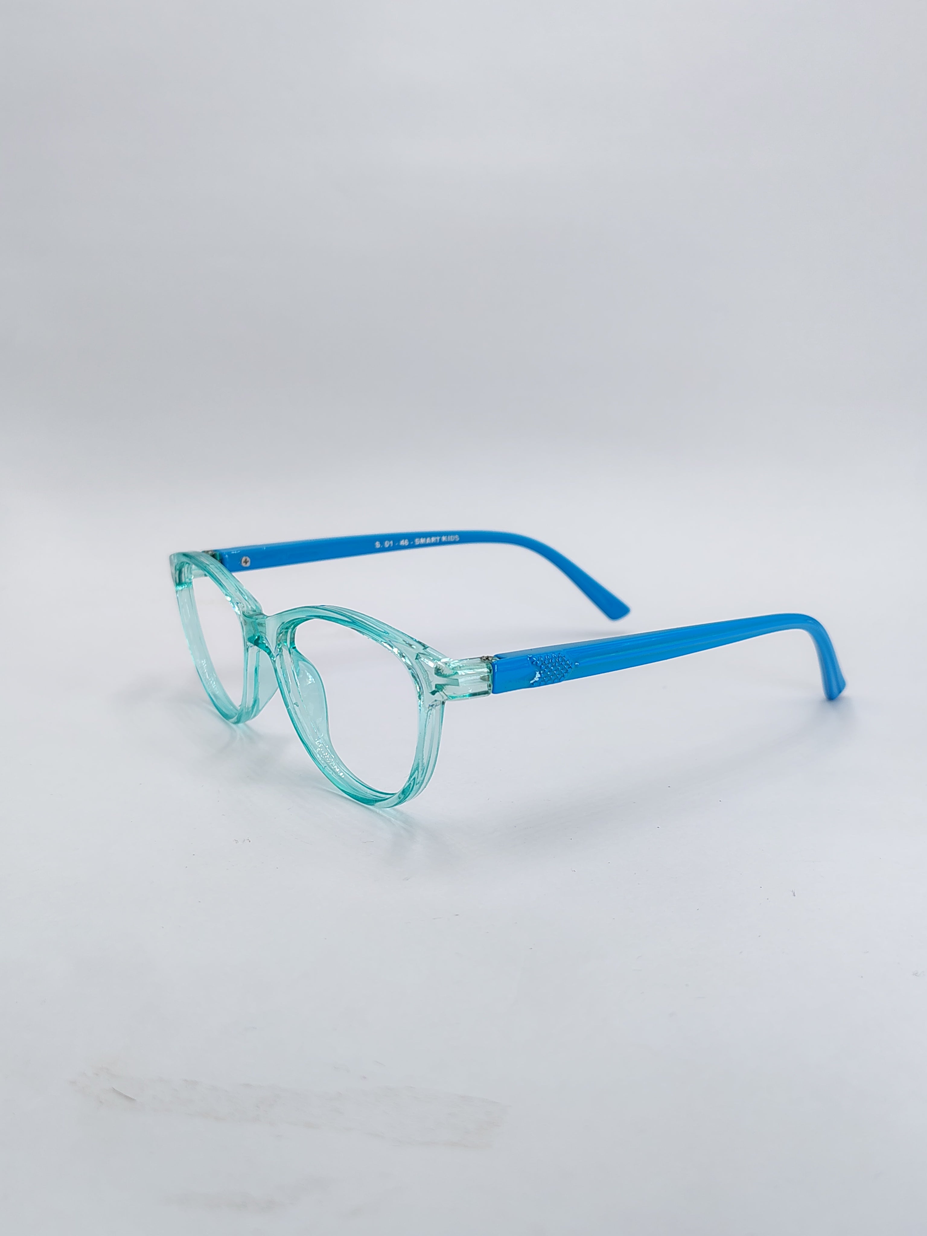vision plus glossy dual blue frame