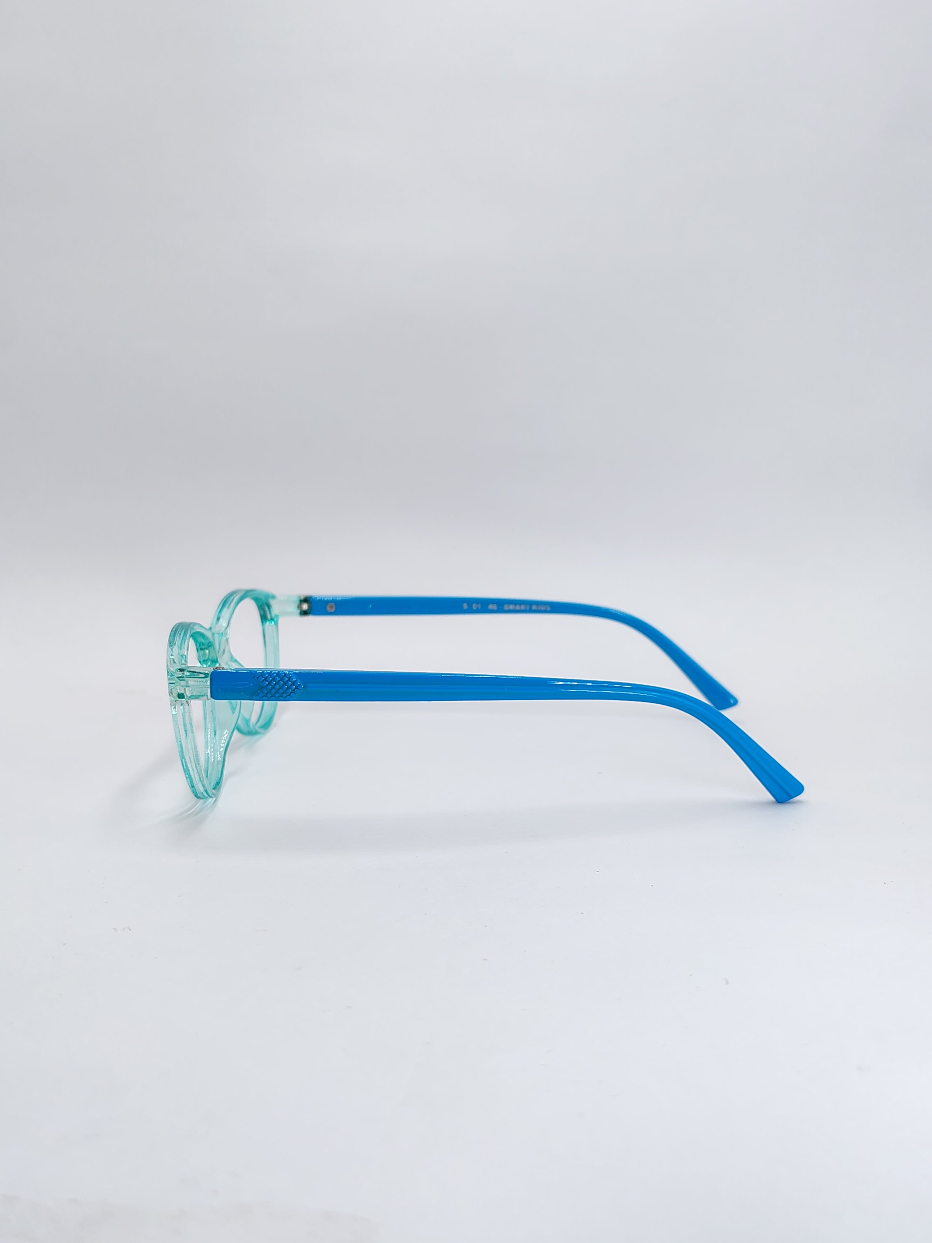 vision plus glossy dual blue frame