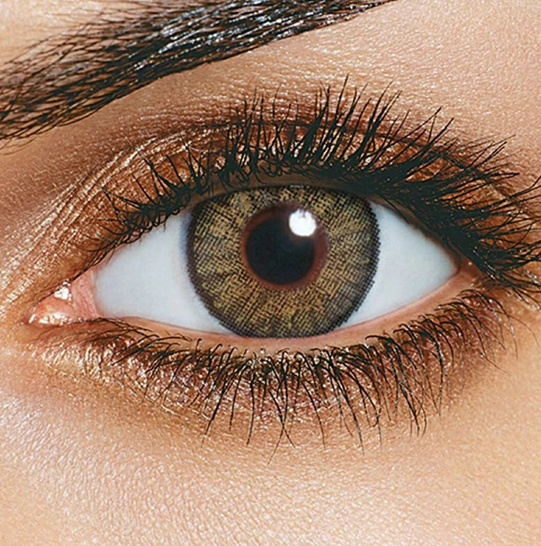 celebration yearly disposable Contact Lens